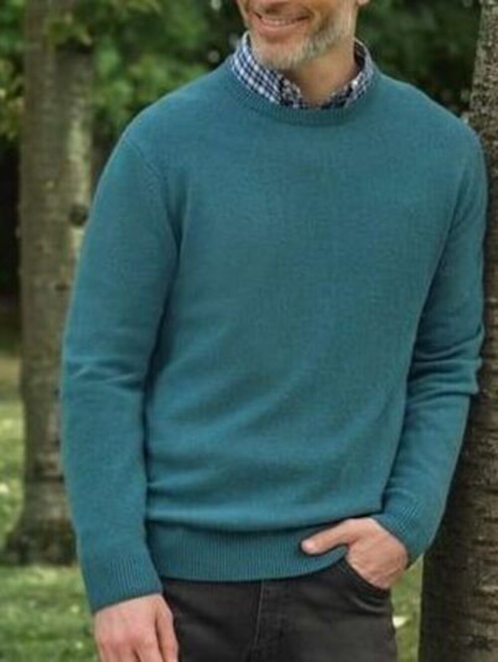 NEW WoolOvers Large $89 Azure Blue 100% Cotton Crew Neck Pullover Luxury Sweater